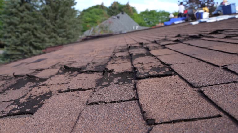 Best Roof Coating and Sealing  in Celina, OH
