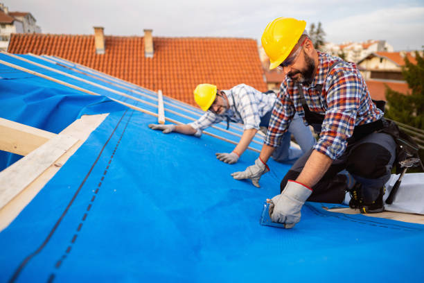 Best Roof Ventilation Installation  in Celina, OH