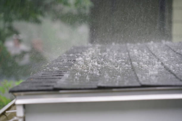 Best Roof Maintenance and Cleaning  in Celina, OH