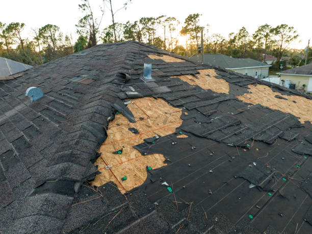 Best Cold Roofs  in Celina, OH