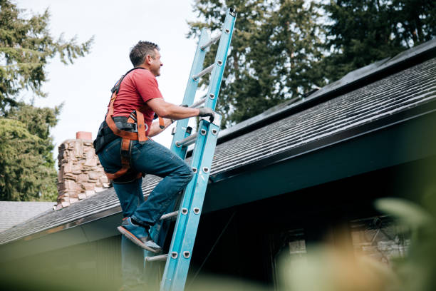 Best Roof Insulation Installation  in Celina, OH