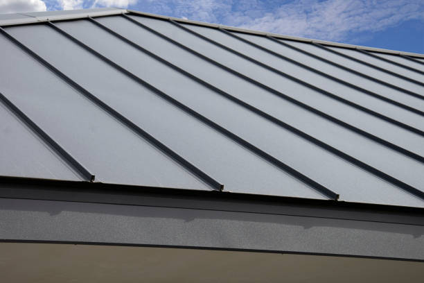 Best Storm Damage Roof Repair  in Celina, OH